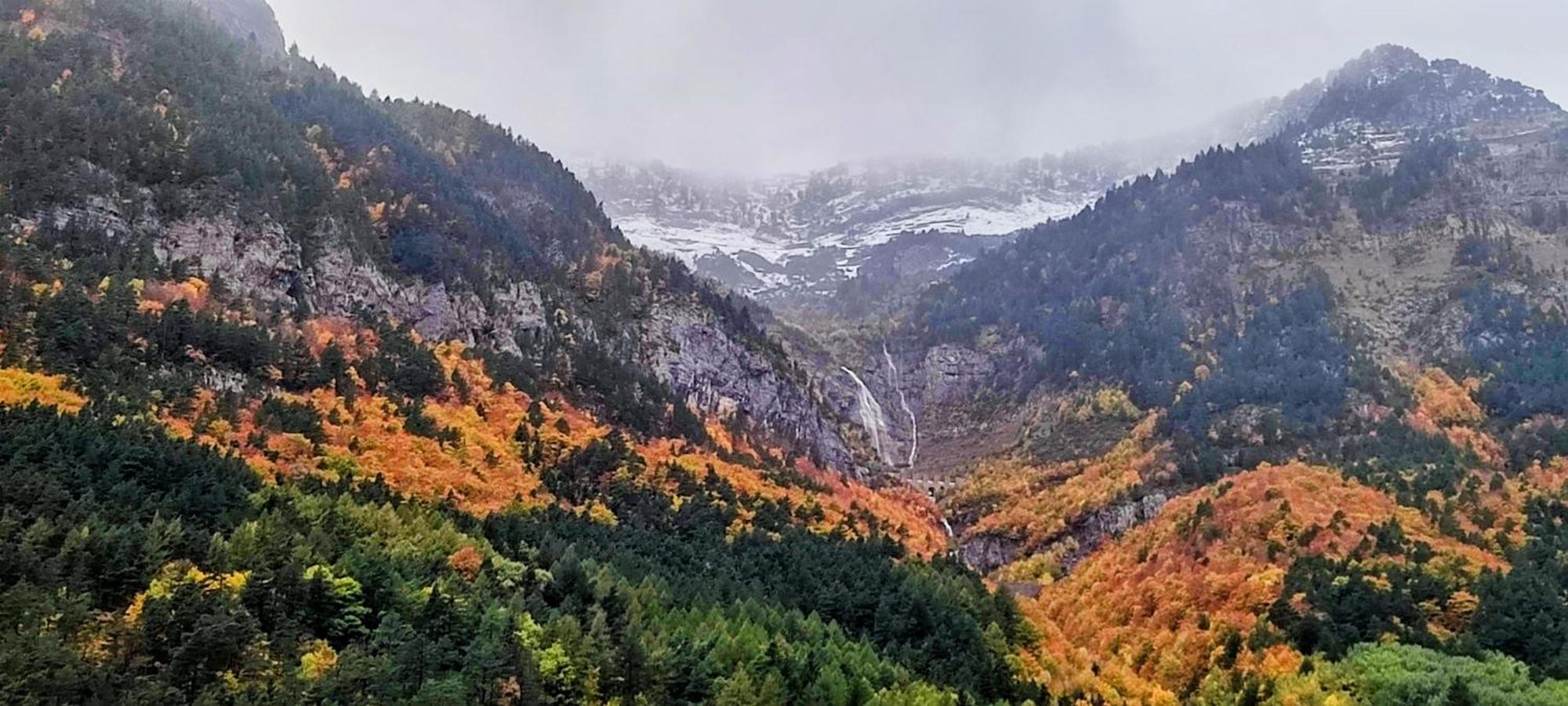 Carlina Canfranc Dış mekan fotoğraf